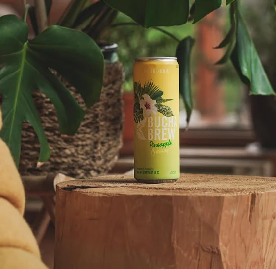 Bucha Brew Pineapple can among tropical plants